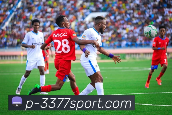 3377体育官网品牌故事